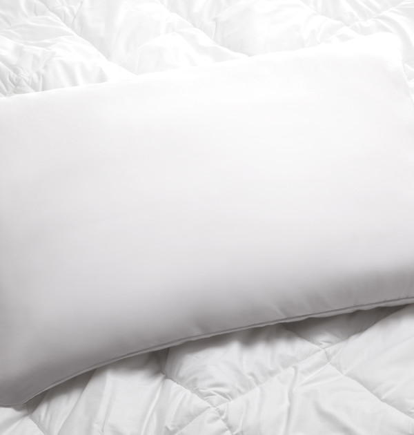 a2 – Kushioneer Pillow